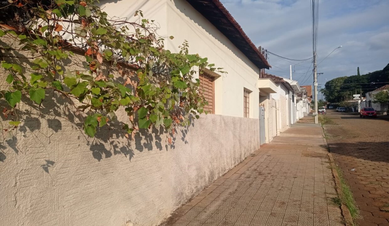 WhatsApp Image 2022-05-11 at 16.51.20 (3)
